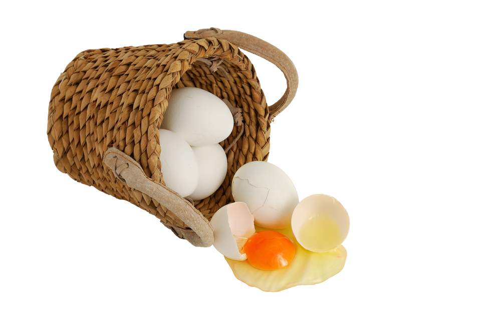 eggs in one basket risk